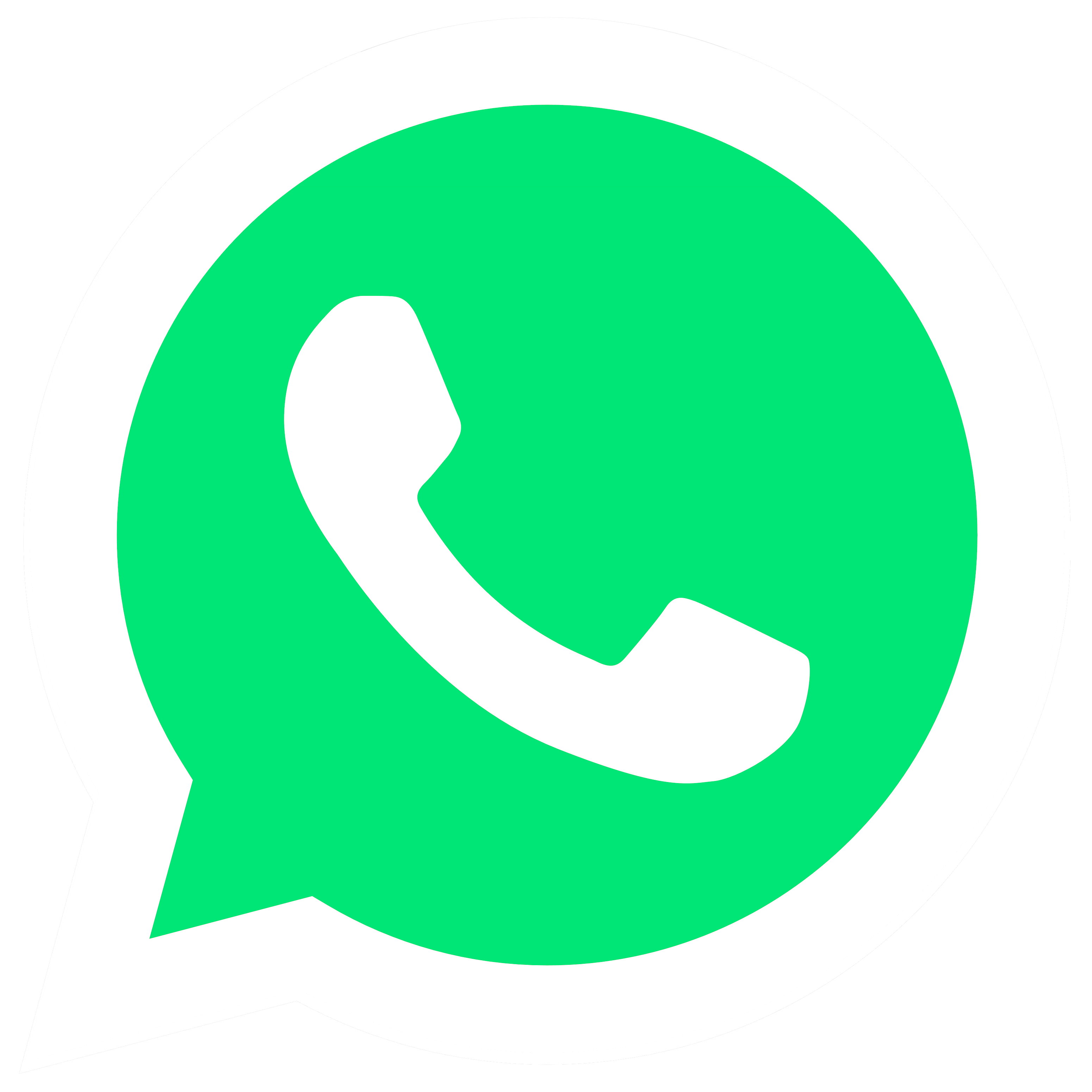 stalen deur whatsapp logo